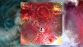 ANIMALS AS LEADERS  The Woven Web [upl. by Sexela]