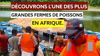 Découvrons l’une des grandes fermes de poissons en Afrique [upl. by Smaj]