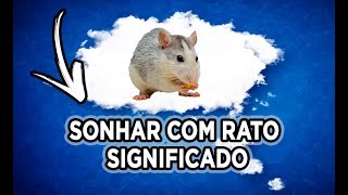 SONHAR COM RATO SIGNIFICADO [upl. by Ecnerret]