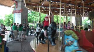 Will at Brookfield Zoo Carousel [upl. by Iridissa]