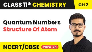 Quantum Numbers  Structure Of Atom  Class 11 Chemistry Chapter 2 [upl. by Eijneb]