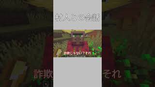 【マインクラフト】村人さんと過ごした少しの時間 マイクラ マインクラフト＃村人 [upl. by Kerge]