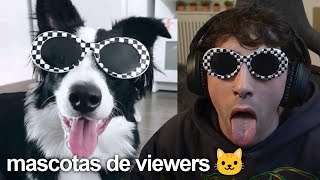 las mascotas de mis viewers 2 😛 [upl. by Crenshaw]