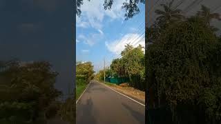 Kumbalangi explore trending kochi travel viralvideo nature kochikerala indiantourism [upl. by Fiore120]