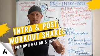 Optimize your Growth Hormone and IGF 1  Take your Intra amp Post Workout Shakes Correctly [upl. by Jamesy]