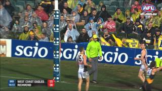 Trent Cotchin  AFL Goal of the Year  Round 18 [upl. by Imit637]