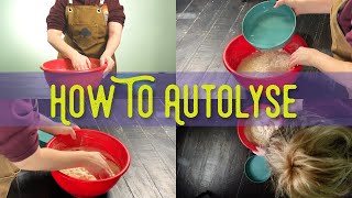 How To Autolyse Sourdough For Beginners Why Do You Need It [upl. by Assyral]