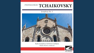 Tchaikovsky  Symphony No 5 in E minor Op 64  Andante Allegro con anima [upl. by Zantos]