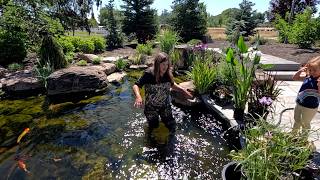 Loading up the Pond with Hardy amp Tropical Water Lilies  Some Beautiful Marginal Pond Plants 🪷🌾💦 [upl. by Idahs515]