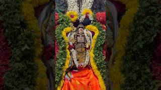 Kandasashti 2024 🦚✨🙏 youtubeshorts god trending kandhasasti murugan devotional viralvideo [upl. by Assennav]