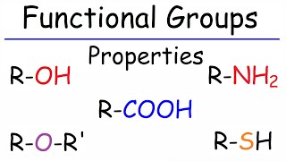 Properties of Functional Groups  Organic Chemistry [upl. by Nisen]