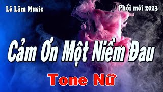 Karaoke  CẢM ƠN MỘT NIỀM ĐAU Tone Nữ  Lê Lâm Music [upl. by Oralia]