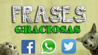 Estados y frases cortas graciosas para Whatsapp  Facebook  Twitter 56 [upl. by Arly]