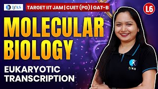 Molecular Biology  Eukaryotic Transcription  IIT JAM  CIET PG  GATB  Lecture 6  IFAS [upl. by Sager]