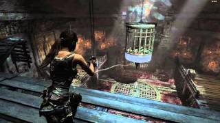 Tomb Raider 2013 Swinging Cage Puzzle Chasm Shrine [upl. by Hollie]