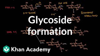 Carbohydrate  Glycoside formation hydrolysis  Chemical processes  MCAT  Khan Academy [upl. by Laiceps]