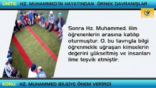 Hz Muhammed Bilgiye Önem Verirdi [upl. by Inalan]