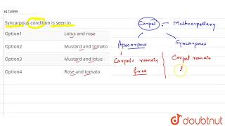 Syncarpous condition is seen in [upl. by Ednihek]