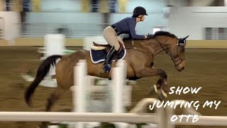 Jumping my OTTB  8595m [upl. by Acimat]