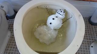 flushing a snowman down the toilet [upl. by Boudreaux]