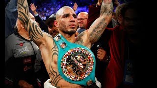 Miguel Cotto  Best KnockOuts and Highlights Hello Cotto  Duki [upl. by Girardo]