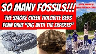 So Many Trilobites in the Smoke Creek Beds at Penn Dixie 2 [upl. by Dunson]