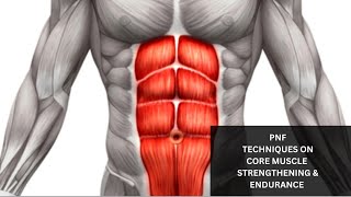 PROPRIOCEPTIVE NEUROMUSCULAR FACILITATION ON CORE MUSCLE STRENGTH AND ENDURANCE [upl. by Meridith]