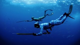 spearfishing new caledonia  plongée sous marine nouvelle calédonie [upl. by Bromley]