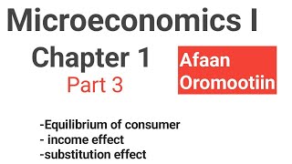 Equilibriums of consumer Microeconomics I Chapter 1 part 3 Fortino Academics [upl. by Albin]