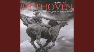 Beethoven String Quartet No 13 in B flat Op 130 5 Cavatina Adagio molto espressivo [upl. by Kutchins]