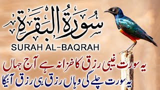 Surah AlBaqarah Full  By Sheikh Safdar HD With Arabic  سورة البقره Ep 116 [upl. by Ikram]