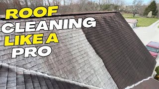 Day In The Life Of My Pressure Washing Business  2 Roof Washes [upl. by Durno850]