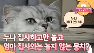 고양이를 부탁해  누나바라기 뭉치의 이유 있는 반항001 [upl. by Bigelow]