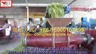 pasturage grass juice extractor [upl. by Airrotal455]