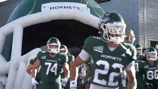 Sacramento State Hornets defeat Nicholls State 347 in home opener  FCS College Football [upl. by Cordeelia]