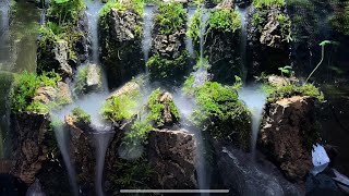 Making a paludarium with fog Quiet mountain [upl. by Anitsugua]