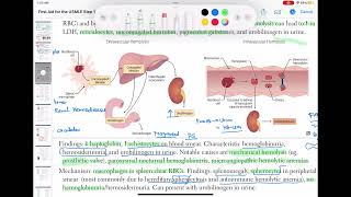 Extravascular hemolysis haematology 44 First Aid USMLE Step 1 in UrduHindi [upl. by Lainad]