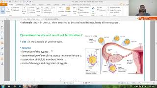 general embryology  theoretical revision مراجعة نظري مادة الامبريولوجي [upl. by Ecylahs629]