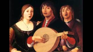 Bossinensis Recercar 15 14 2 11  Nicolae Szekely lute [upl. by Keyser]