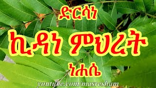 ድርሳነ ኪዳነ ምህረት ዘነሔሴ  Dirsane Kidane Mihret Nehase [upl. by Ertha]