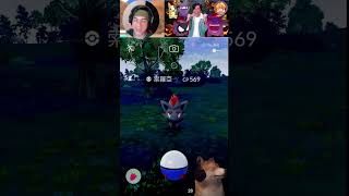 索羅亞不裝了？直接現身！《Pokémon GO》 索羅亞 ゾロア zorua [upl. by Yelrak]