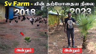 Sv Farm அன்றும்2018 இன்றும் 2023  பண்ணையில் உள்ள மரங்களின் 6 வருட வளர்ச்சி எப்படி இருக்கு [upl. by Jorgan]