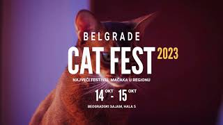 Beogradski Festival Mačaka 2023  NAJAVA [upl. by Us931]