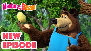 Masha and the Bear 2024 🎬 NEW EPISODE 🎬 Best cartoon collection 🥔 Soup Pursuit 🥕🍲 [upl. by Naillil723]