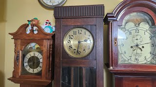 1920s KienzleDGRM quotBarderGongquot Bim Bam Striking German Longcase Clock [upl. by Supat]