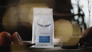 Intelligentsia Coffee  Celebration Seasonal Blend [upl. by Leihcey631]