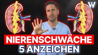 Nierenschwäche 5 Anzeichen dass Deine Nieren nicht richtig funktionieren  Typische Symptome [upl. by Eilyr]