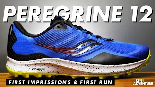 SAUCONY PEREGRINE 12  First Run amp First Impressions  Best Trail Running Shoes  Run4Adventure [upl. by Aicilra]