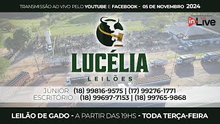 LUCÉLIA LEILÕES  LEILÃO DE GADO  AO VIVO  05112024  100  Pesados no Recinto [upl. by Ahsieit]