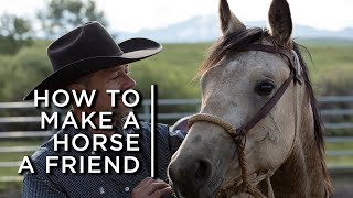 How to make a horse a friend One cowboys partnership with horses [upl. by Hsirrehc]